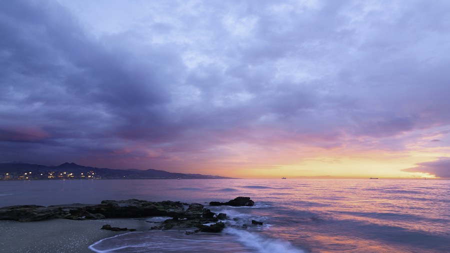 Soft morning light along a quiet shoreline