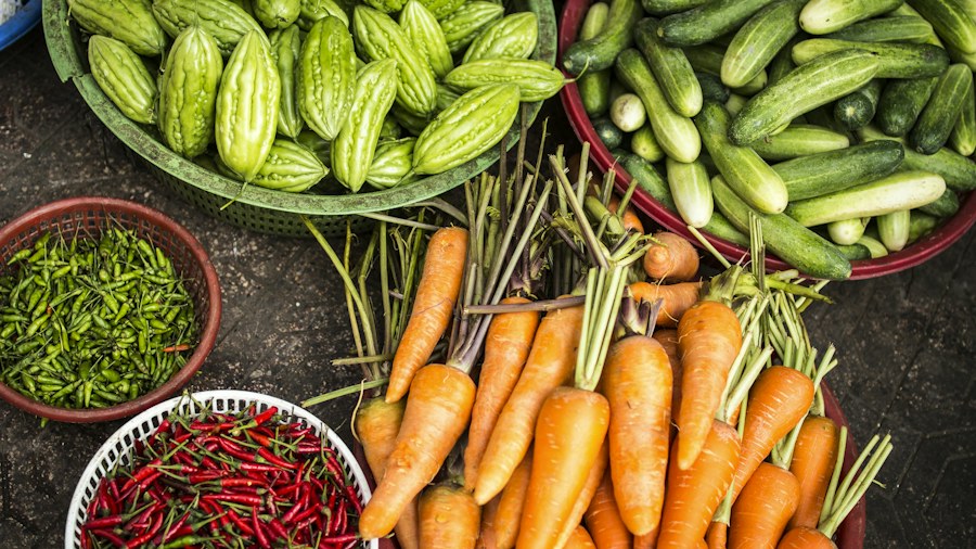 A variety of fresh vegetables displayed together
