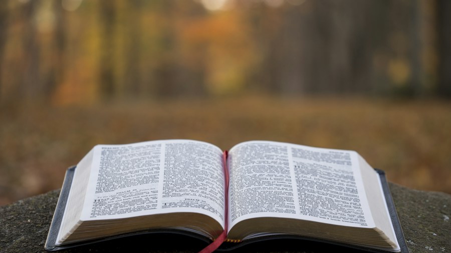 An open book in a quiet outdoor setting