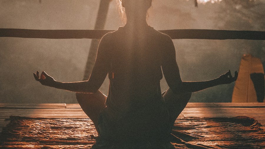 A person sitting quietly beside water in warm sunlight