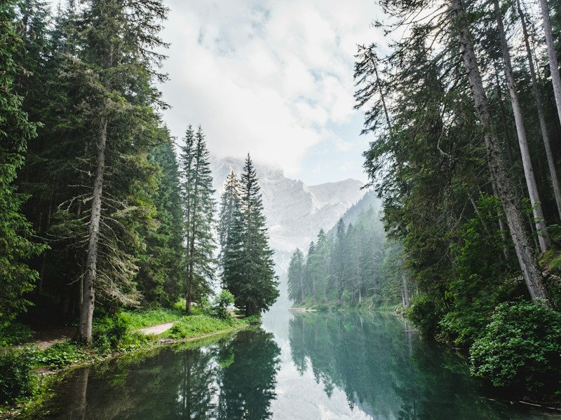 A quiet lake among trees